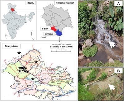 Prevalence of antibiotic-resistant Gram-negative bacteria having extended-spectrum β-lactamase phenotypes in polluted irrigation-purpose wastewaters from Indian agro-ecosystems